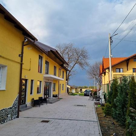Izabella Guest House Săcele Exteriör bild