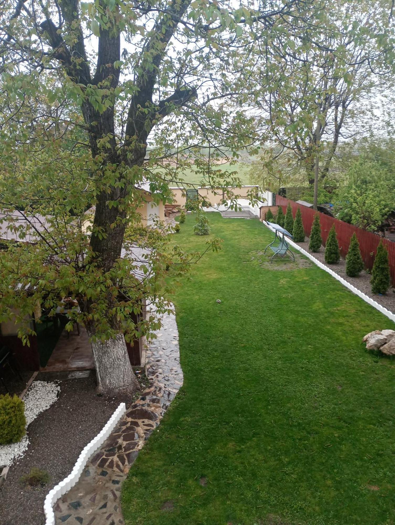 Izabella Guest House Săcele Exteriör bild