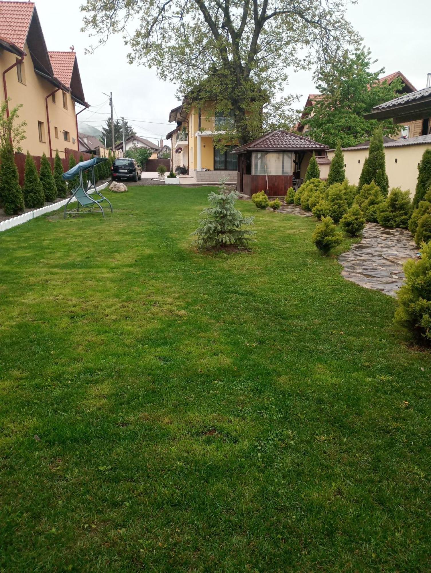 Izabella Guest House Săcele Exteriör bild